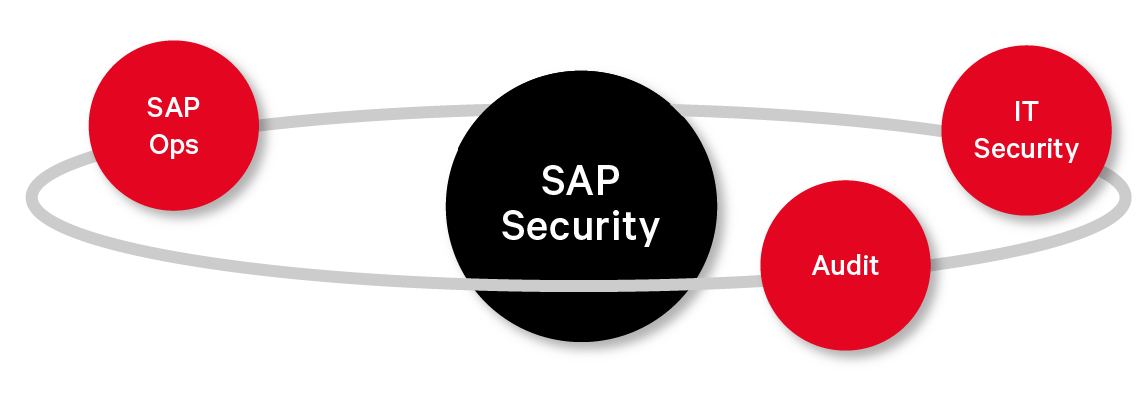 3 Lines of SAP Defenses